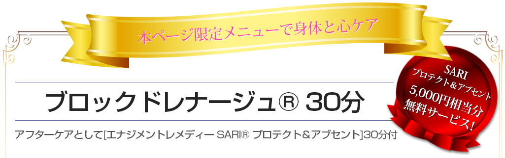 ＜本ページ限定メニューで身体と心を極上ケア＞ブロックドレナージュ?30分 　エナジメントレメディー アブセントSARI 30分が無料で付いてきます！